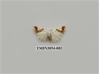 藏品(夜蛾776)的圖片